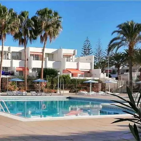 Palm * Costa Del Silencio