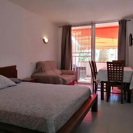 Palm * 德尔锡伦西奥海岸